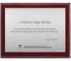 PLACAS CONMEMORATIVAS 