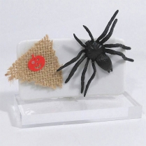 TROFEO HALLOWEEN