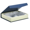 ESTUCHE PLACA