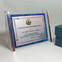 Placa Cristal Especial color