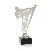 Trofeos artes marciales