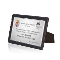 Placa conmerotivas