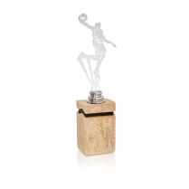 TROFEOS DE BALONCESTO