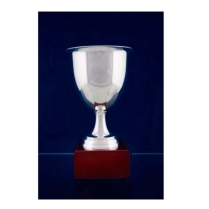 Copa Clásica Baño de Plata