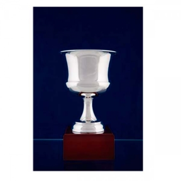 Trofeos y copas baño plata de ley
