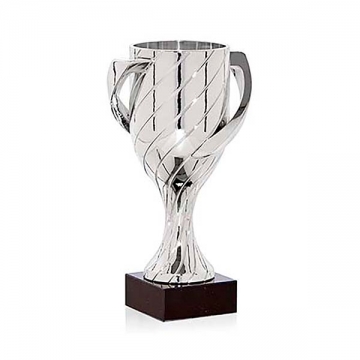 copas deportivas económicas participación