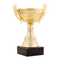 COPAS CL&Aacute;SICAS