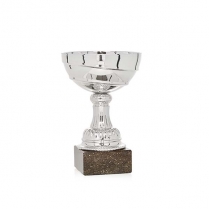 COPA PROMOCI&Oacute;