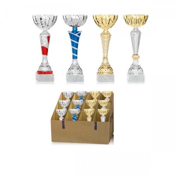 lot 12 copes indvisible