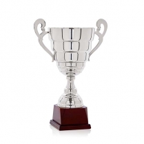 COPA CL&Aacute;SICA PRESTIGIO