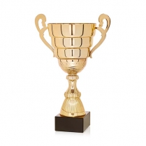 COPA CL&Aacute;SICA PRESTIGIO