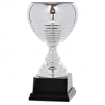 COPA CL&Aacute;SICA PRESTIGIO