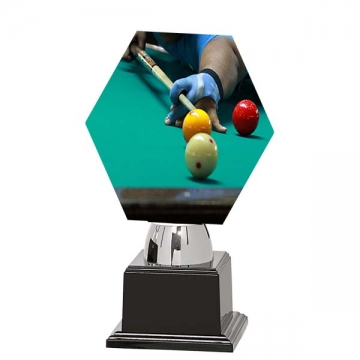 Trofeus de fusta amb la base de ABS. 
Trofeus personalitzables amb el SEU LOGO i la imatge de l'esdeveniment. 
Per a tots els esports i competicions esportives.
***INCLÒS en el PREU ,EL MATEIX GRAVAT a 1 CARA
Tots els gravats s'hauran d'enviar per email info@tstorneos.com 
